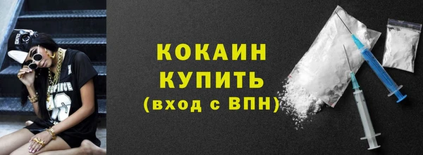 сатива Елизово