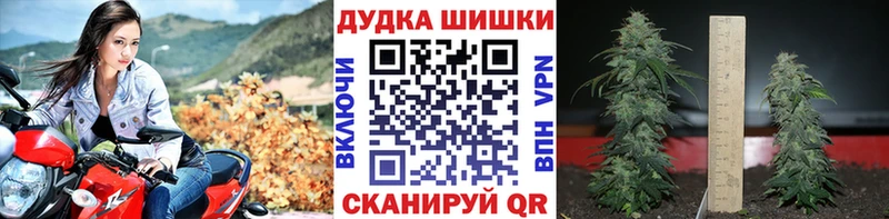 OMG ССЫЛКА  Теберда  Бошки Шишки Ganja 